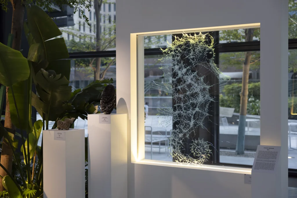 «Расколотое присутствие» в HOFA: искусство контролируемого разрушения Симона Бергера | London Cult.