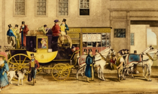 О лошадях: «в седле чувствую себя, как дома» | London Cult.