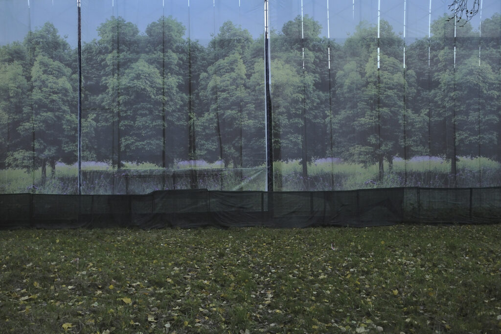 Exhibition «Here (Not) There»: What Does It Feel Like To Belong Nowhere? | London Cult.