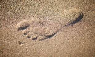 Цифровой след: как AI-поиск перераспределяет клиентов | London Cult.