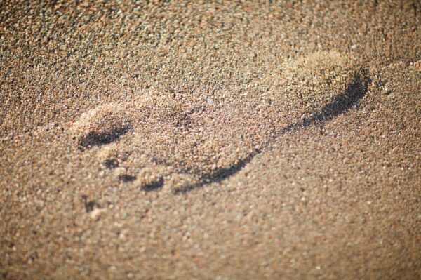 Цифровой след: как AI-поиск перераспределяет клиентов | London Cult.