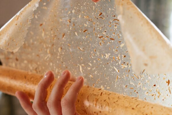 Honest Materials: how the «green» market is actually evolving | London Cult.