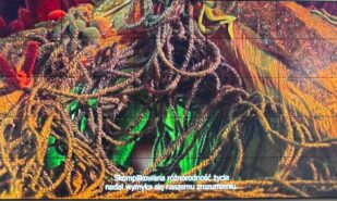 Physics on Film Festival 2026: Science Hits the Big Screen | London Cult.