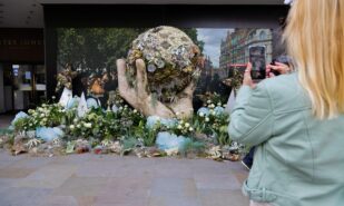 Район как арт-объект: в Лондоне завершается Chelsea Flower Show 2026 | London Cult.