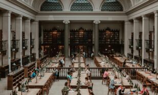 Летние школы при Oxford, Harvard, TED и других университетах: подборка для родителей школьников | London Cult.