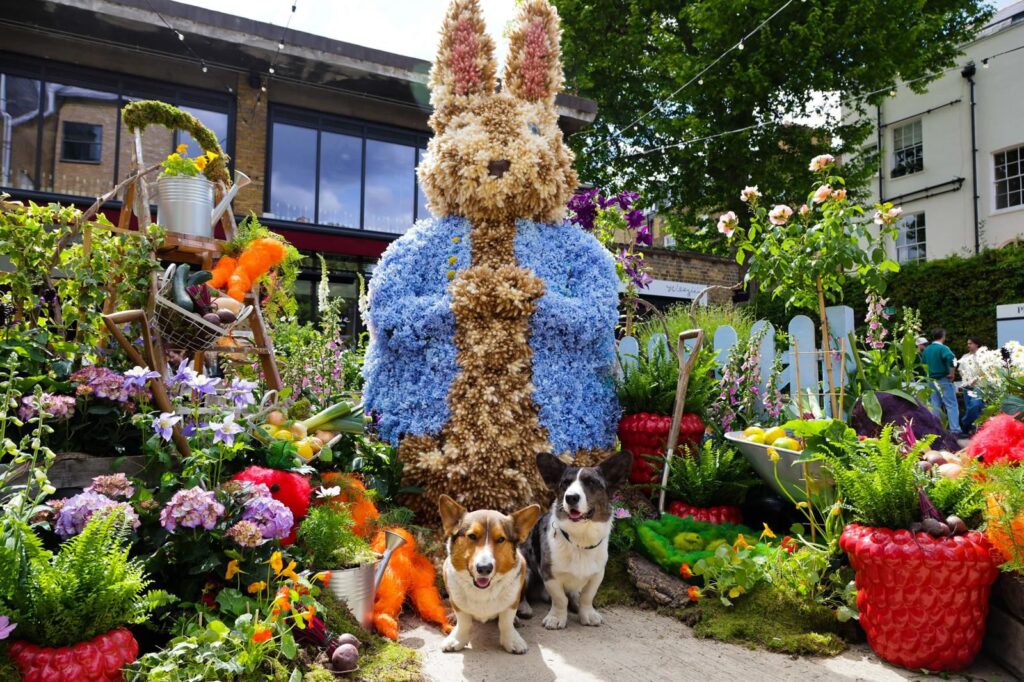 Район как арт-объект: в Лондоне завершается Chelsea Flower Show 2026 | London Cult.