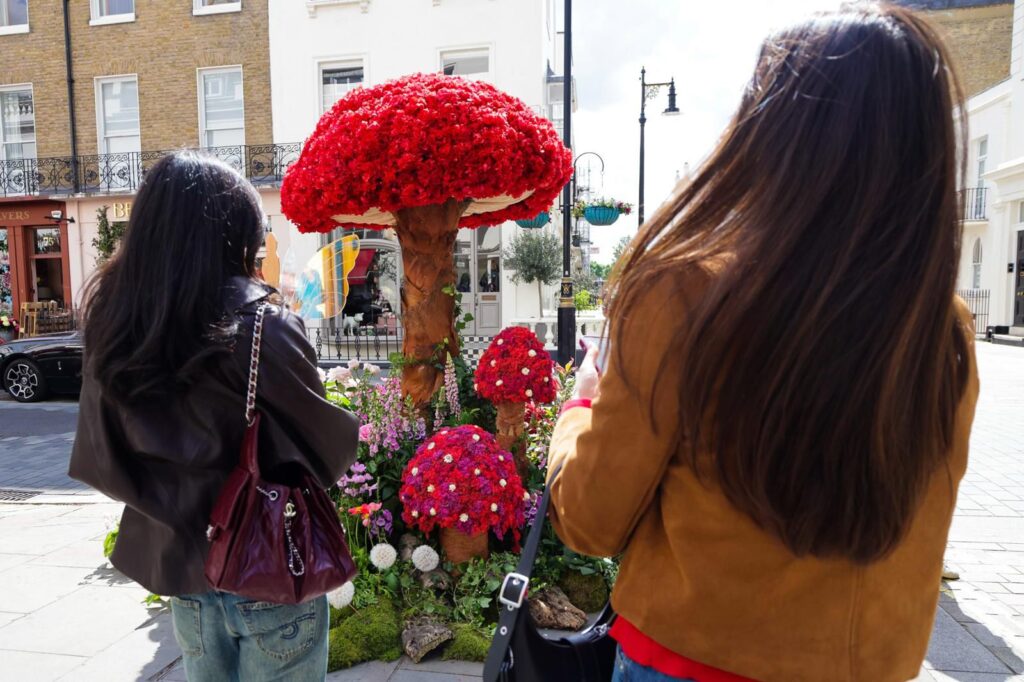 Район как арт-объект: в Лондоне завершается Chelsea Flower Show 2026 | London Cult.