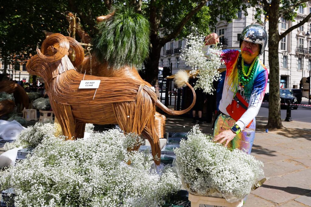 Район как арт-объект: в Лондоне завершается Chelsea Flower Show 2026 | London Cult.