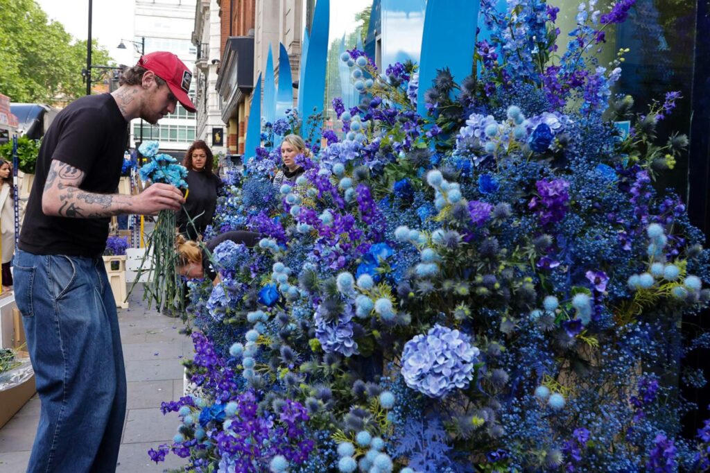 Район как арт-объект: в Лондоне завершается Chelsea Flower Show 2026 | London Cult.