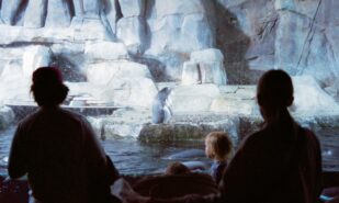 McDonald’s, Picturehouse, Wetherspoons в деле: запущена программа скидок на детский досуг | London Cult.