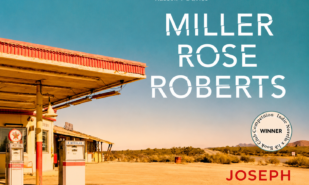 В поисках Грааля: «Millie Rose Roberts» — новая повесть Джозефа Миллсона | London Cult.