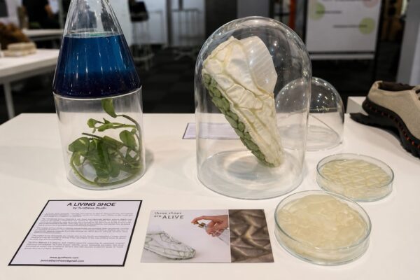 «Hot» Conversations About Climate and Materials | London Cult.