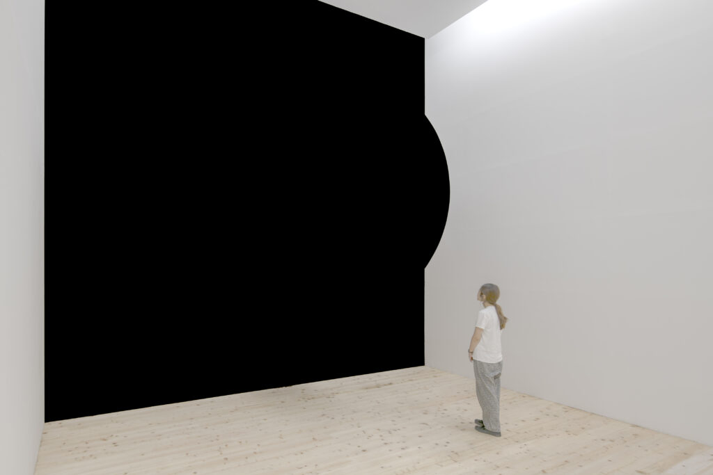 Безграничный потенциал пространства: инсталляции Аниша Капура в HaywardGallery | London Cult.