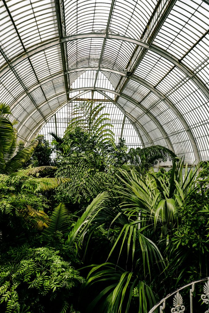 Kew Gardens за £10: знаменитые лондонские сады резко снизят цены этой осенью | London Cult.