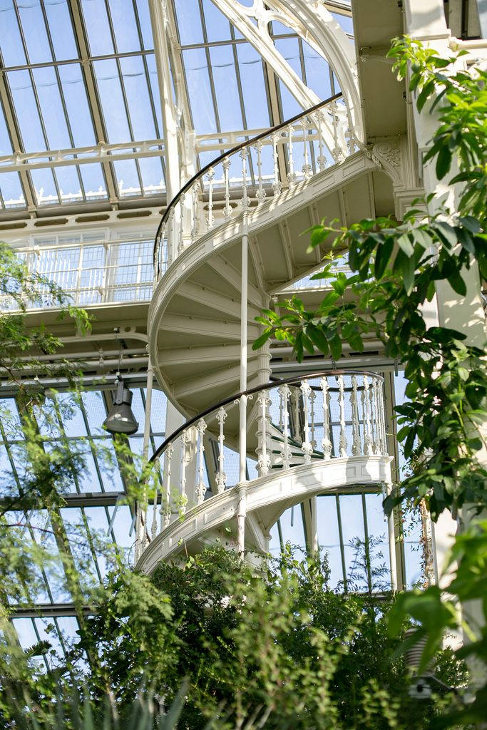 Kew Gardens за £10: знаменитые лондонские сады резко снизят цены этой осенью | London Cult.