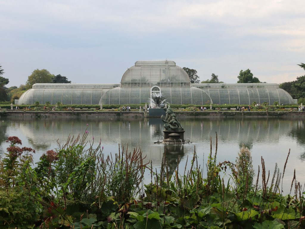 Kew Gardens за £10: знаменитые лондонские сады резко снизят цены этой осенью | London Cult.