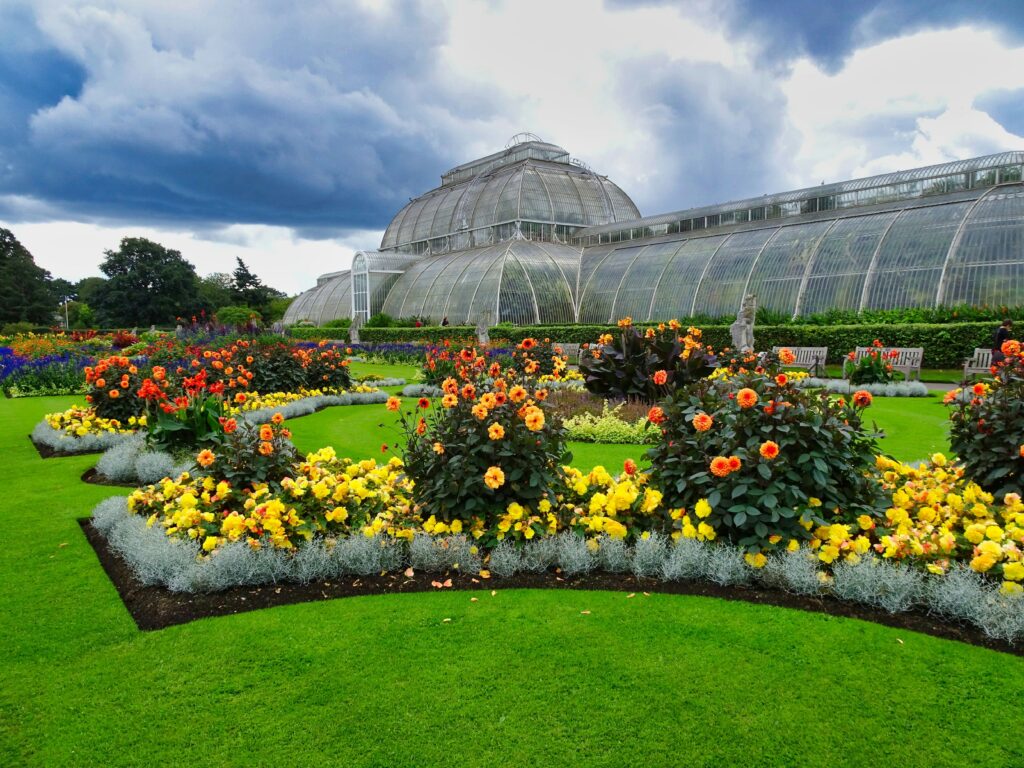 Kew Gardens за £10: знаменитые лондонские сады резко снизят цены этой осенью | London Cult.