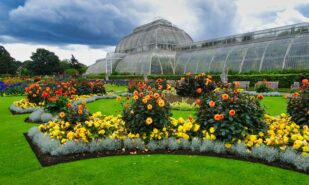 Kew Gardens за £10: знаменитые лондонские сады резко снизят цены этой осенью | London Cult.